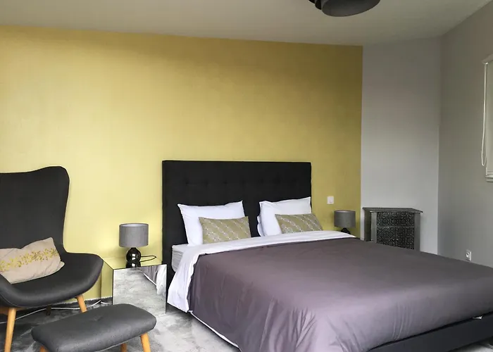 Plantagenet - Le 33 Le Mans